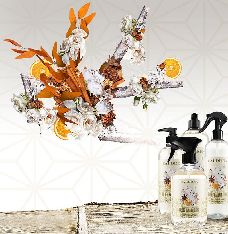 A collection of countertop spray, dish soap, and more spray out elements that encompass our scent: Gilded Balsam Birch.