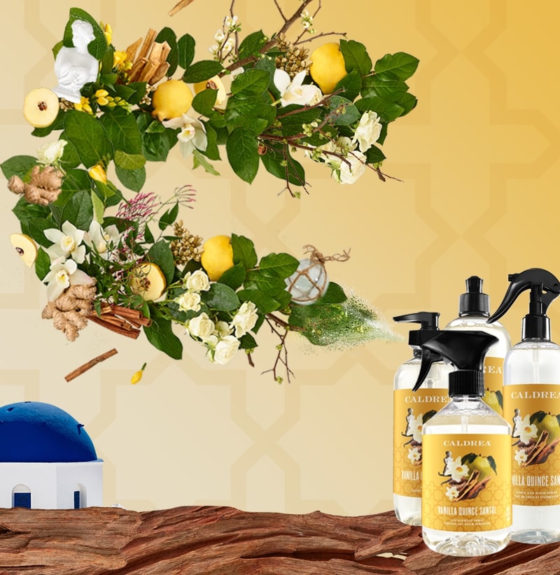 A collection of countertop spray, dish soap, and more spray out elements that encompass our scent: Vanilla Quince Santal.